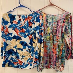 Peck & Peck Floral and Festive 3/4 Sleeve Blouse set